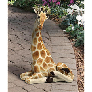 Zari the Resting Giraffe