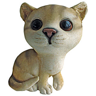Cherished Cat: Tabby Kitten