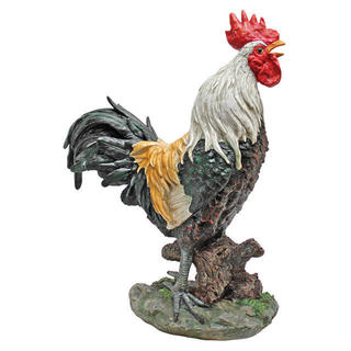 Cock-a-doodle-Doo Rooster