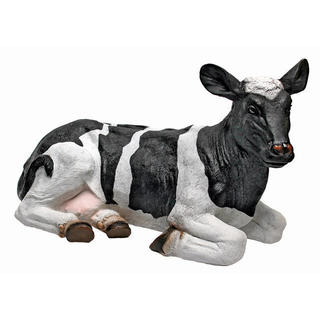 Daisy the Lounging Cow