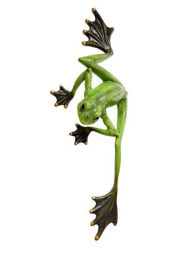 Wallace the Flying Frog