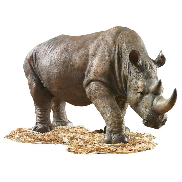South African Rhino
