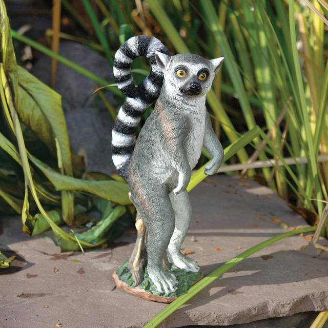 Rulon the Ringtailed Lemur