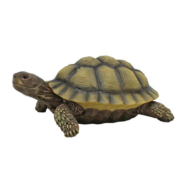 Gilbert, the Box turtle
