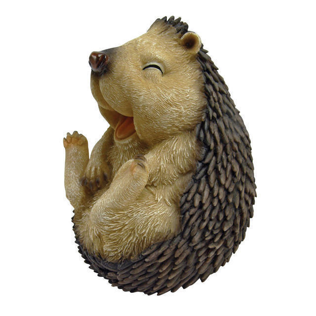 Roly-poly Laughing Hedgehog (Medium)