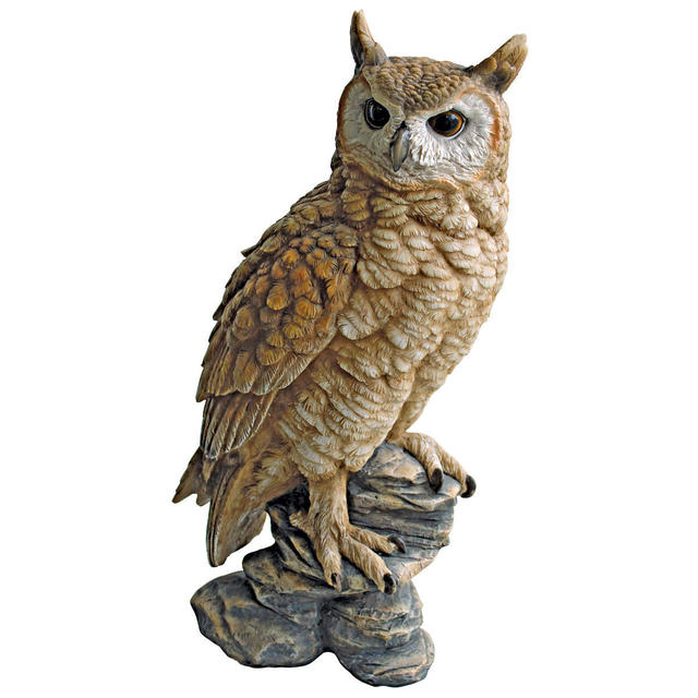 Perching Forest Owl