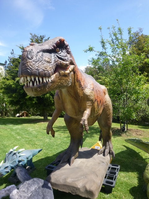 Tryrannasaurus Rex